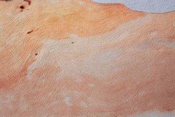 wooden texture,Abstract background