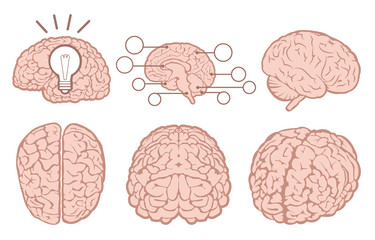 Human brain flat set