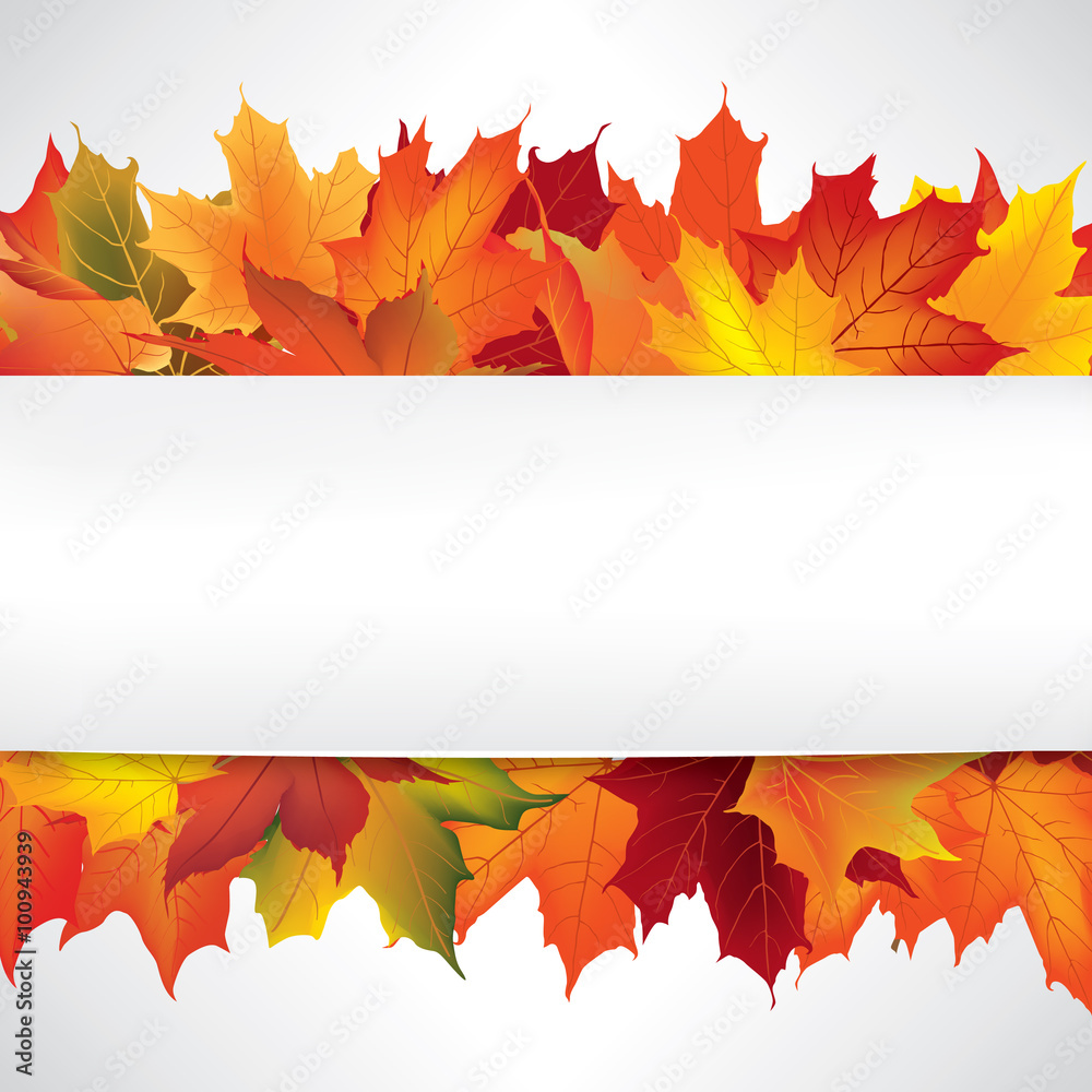 Wall mural autumn frame with maple leaves. fall border background with copy space