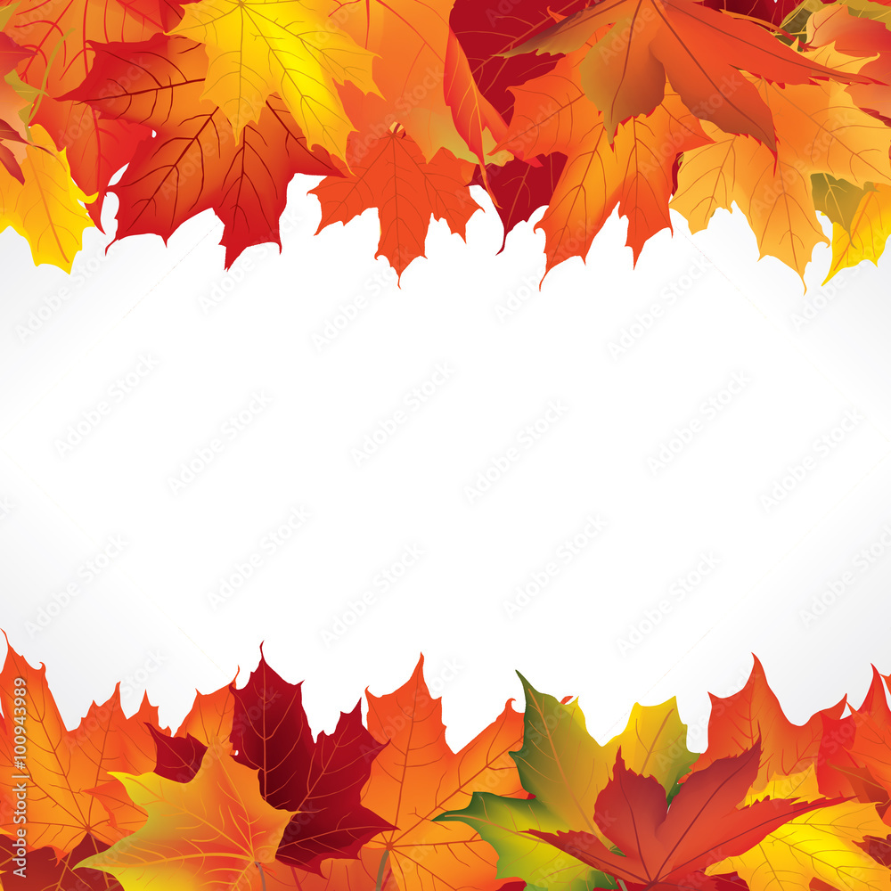 Wall mural autumn frame with maple leaves. fall seamless border background with copy space