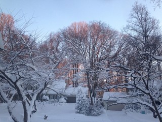 clear morning after snow storm