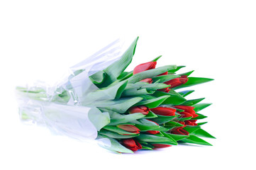 A bunch of fresh tulips with green leaves on white, isolated background