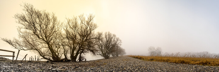 Herbstnebel am Seeufer
