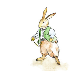 Rabbit with watch