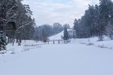 Wooden bridge in winter