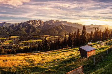 Gubalowka - view on panorama of Tatras at sunset, Poland. - obrazy, fototapety, plakaty