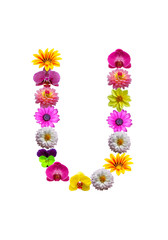 U, flower alphabet isolated on white