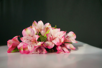 beautiful flowers on the table