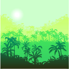 Fototapeta na wymiar landscape with palm trees