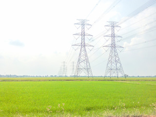 Road access lines, tapping the side of a field with high voltage