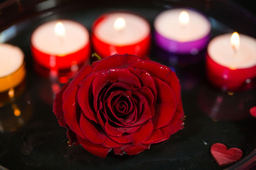 Rose mit Kerzen