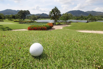 Fototapeta premium Golfball on grass