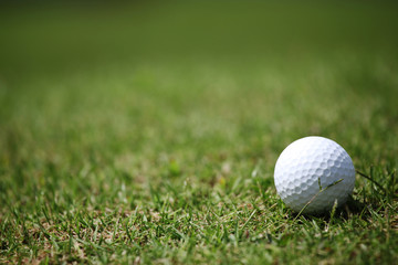 Golf ball in grass