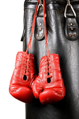 Boxing gloves and punching bag