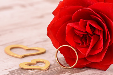 Valentinstag und rote Rose