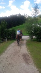 Fototapeta premium passeggiata con il cavaallo