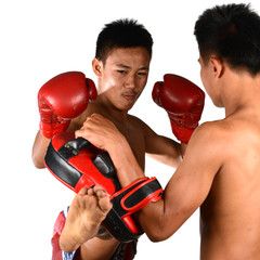 Real Muay Thai Boxer Kick Training (Thailand Boxing)