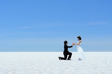 ウユニ塩湖　ウェディング