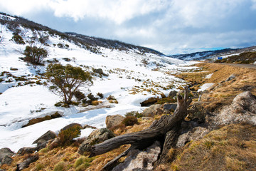 Snow moutains in Kosciuszko National Park, Australia.