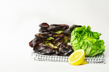 Vibrant color lettuce heads and a lemon in a kitchen 