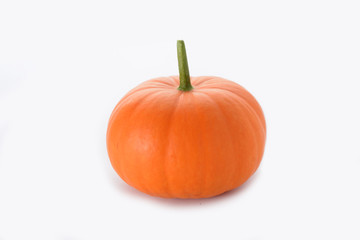 small pumpkin on white background,