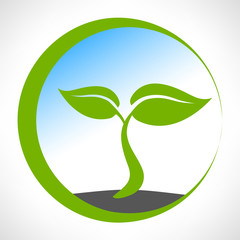 Eco symbol green leaf vector illustration