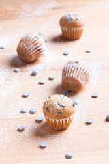 muffins