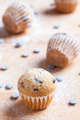 muffins