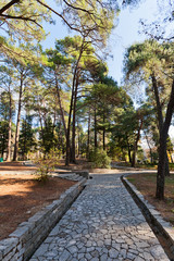 Large Town Park of Tivat, Montenegro
