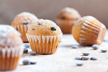 muffins