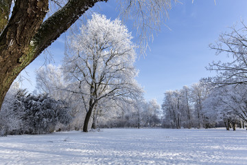 Wintertag