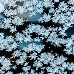 winter frost pattern on window surface