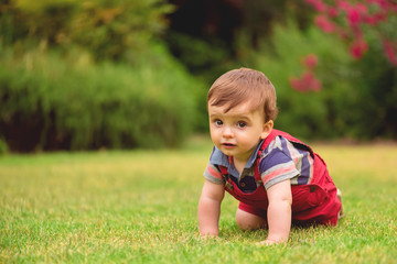 Cute little boy crawling at the garden