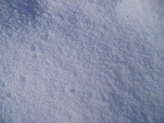 Obraz premium Snow texture background