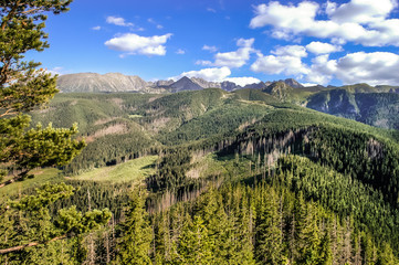 Landscape of the Tatra Mountains in the summer
