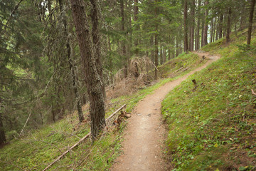 hiking alone long a small mountain path inside the forest