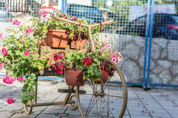 Fototapeta na wymiar Vintage iron bicycle with flowers, painted in gold colour. Photo was taken on a nice sunny morning.