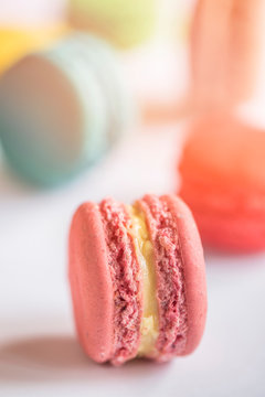 Single pink macaroon