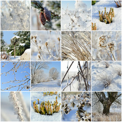 Zimowy pejzaż © Bydlinska