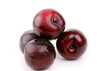 plum isolated on white background