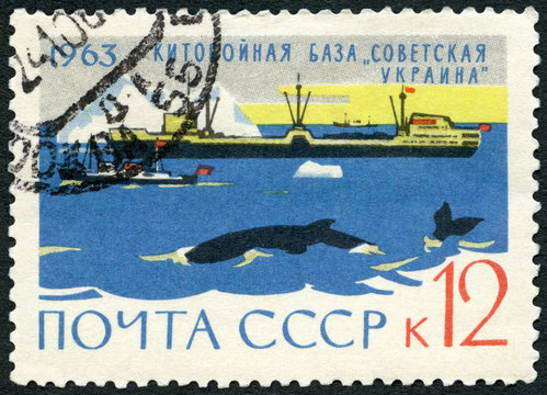 USSR - 1963: Whaler floating whale factory "Soviet Ukraine"