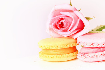 macaroon retro rose selective soft focus background French dessert