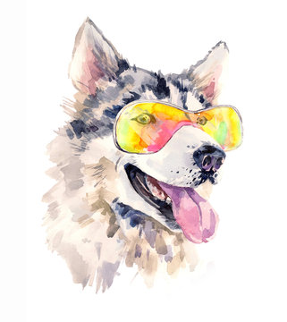 Watercolor Siberian Husky Dog In Cool Sun Glasses