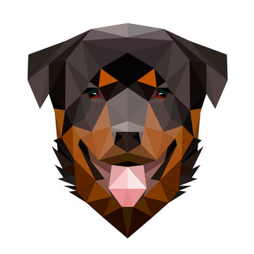 Vector low poly rottweiler dog