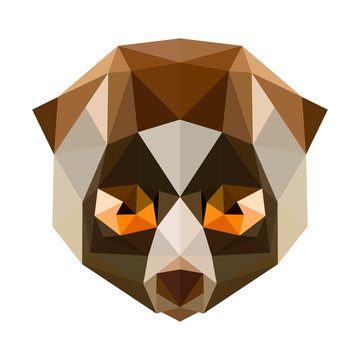 Vector low poly lori