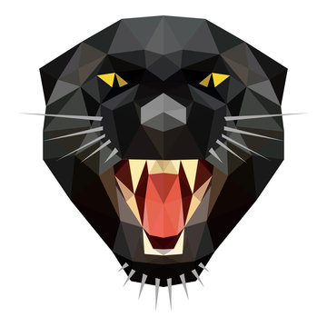 Vector low poly angry panther