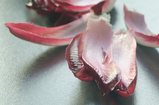 Red Endive Leaves