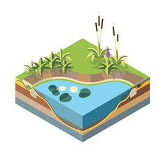 isometric landscape design icon, cross section of an artificial lake with isometric plants
