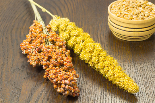 Twigs sorghum and yellow millet. Wheat  in a wooden basket