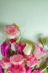 Fototapeta premium Pink flowers on light green background, postcard